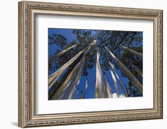 Prayer Flags, Dochula, Bhutan-Michael Runkel-Framed Photographic Print