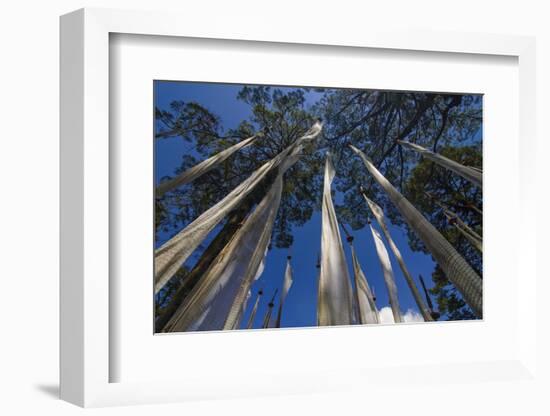 Prayer Flags, Dochula, Bhutan-Michael Runkel-Framed Photographic Print