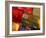 Prayer Flags Festoon the Stupa at Boudinath, a Centre of Tibetan Buddhism, Kathmandu, Nepal-Paul Harris-Framed Photographic Print