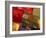 Prayer Flags Festoon the Stupa at Boudinath, a Centre of Tibetan Buddhism, Kathmandu, Nepal-Paul Harris-Framed Photographic Print