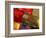 Prayer Flags Festoon the Stupa at Boudinath, a Centre of Tibetan Buddhism, Kathmandu, Nepal-Paul Harris-Framed Photographic Print