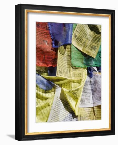 Prayer Flags, Mahakala Temple, Observatory Hill, Darjeeling, West Bengal, India-Jane Sweeney-Framed Photographic Print