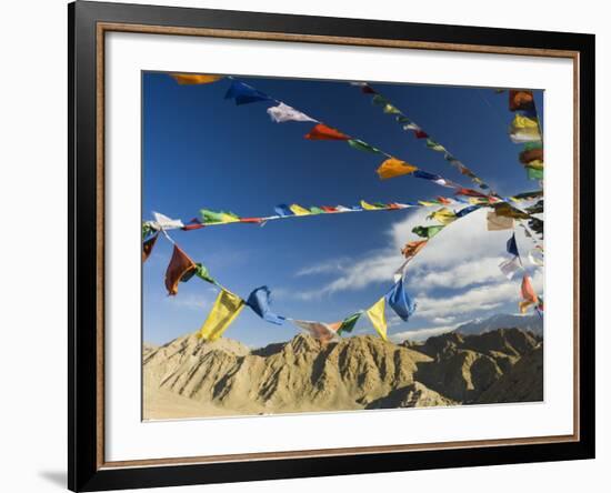 Prayer Flags on the Peak of Victory, Leh, Ladakh, Indian Himalayas, India, Asia-Jochen Schlenker-Framed Photographic Print