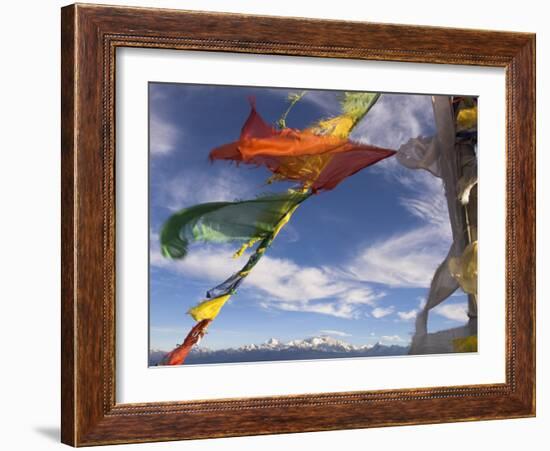 Prayer Flags with Snowy Kangchendzonga Beyond in Morning Light, Sandakphu, West Bengal State-Eitan Simanor-Framed Photographic Print