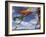 Prayer Flags with Snowy Kangchendzonga Beyond in Morning Light, Sandakphu, West Bengal State-Eitan Simanor-Framed Photographic Print