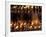 Prayer Flames, Jokhong Temple, Lhasa, Tibet-Keren Su-Framed Photographic Print