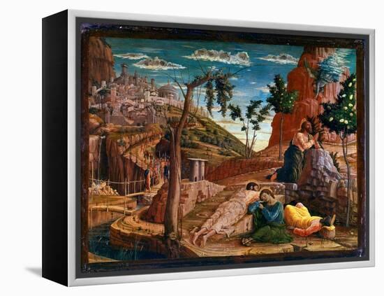 Prayer in the Garden of Olives after the Last Supper, Christ Goes to the Hill of Gethsemani, Which-Andrea Mantegna-Framed Premier Image Canvas