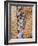 Prayer Papers Stuffed into the Western Wall, Jerusalem, Israel, Middle East-Michael DeFreitas-Framed Photographic Print