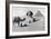 Praying before a Sphinx, Cairo, Egypt, C1920s-null-Framed Giclee Print