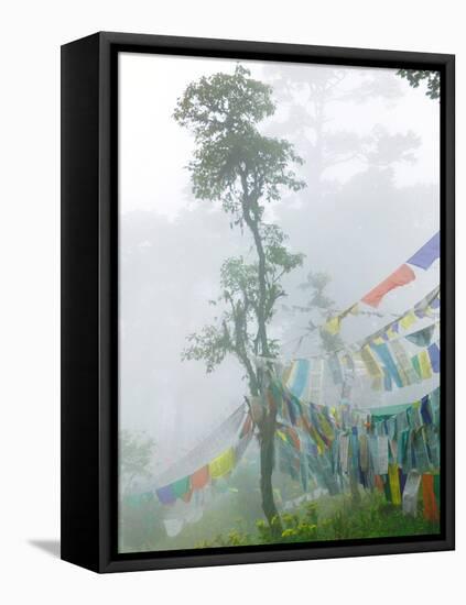 Praying Flags in the Dochula Pass, Between Wangdi and Thimphu, Bhutan-Keren Su-Framed Premier Image Canvas