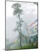 Praying Flags in the Dochula Pass, Between Wangdi and Thimphu, Bhutan-Keren Su-Mounted Photographic Print