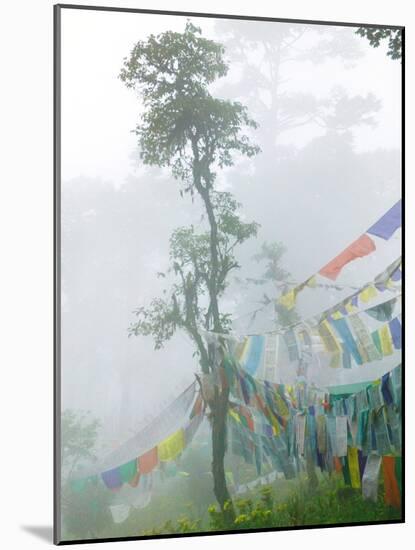 Praying Flags in the Dochula Pass, Between Wangdi and Thimphu, Bhutan-Keren Su-Mounted Photographic Print