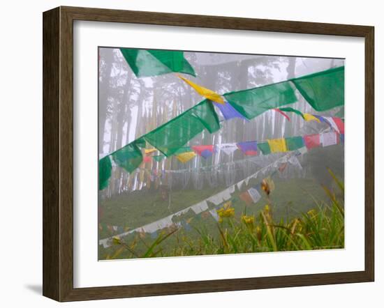 Praying Flags in the Dochula Pass, Between Wangdi and Thimphu, Bhutan-Keren Su-Framed Photographic Print