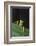 Praying Mantis Looking out from behind Leaf-DLILLC-Framed Photographic Print