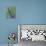 Praying Mantis on Purple Loosestrife-Adam Jones-Framed Premier Image Canvas displayed on a wall