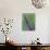 Praying Mantis on Purple Loosestrife-Adam Jones-Photographic Print displayed on a wall