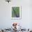 Praying Mantis on Purple Loosestrife-Adam Jones-Framed Photographic Print displayed on a wall