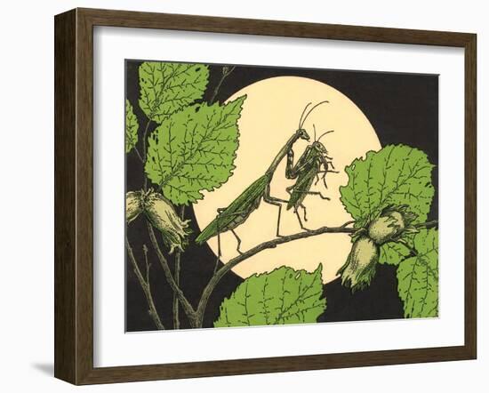 Praying Mantis with Grasshopper-null-Framed Art Print