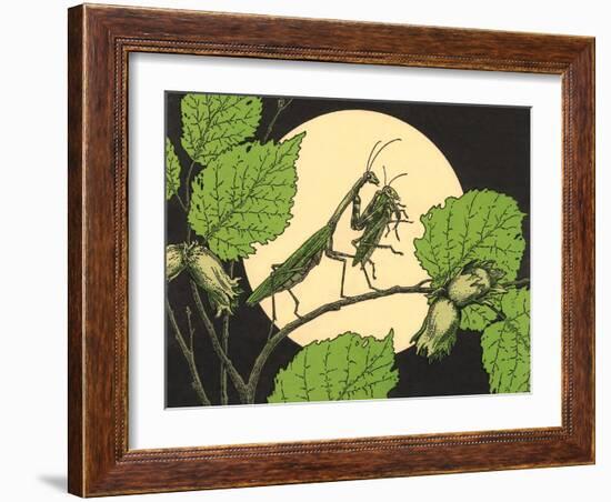 Praying Mantis with Grasshopper-null-Framed Art Print