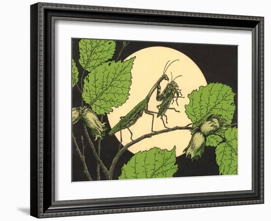 Praying Mantis with Grasshopper-null-Framed Art Print