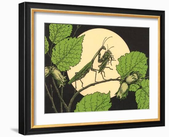 Praying Mantis with Grasshopper-null-Framed Art Print