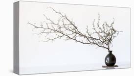 Vase And Branch-null-Giclee Print