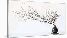 Vase And Branch-null-Giclee Print