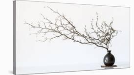 Vase And Branch-null-Giclee Print