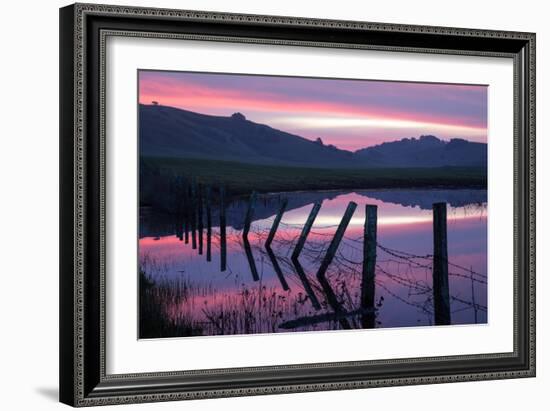 Pre Dawn Petaluma Roadside, Northern California-Vincent James-Framed Photographic Print