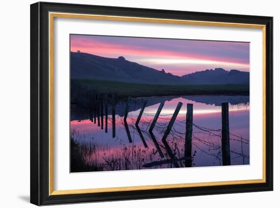 Pre Dawn Petaluma Roadside, Northern California-Vincent James-Framed Photographic Print