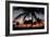 Pre Dawn Tropical Trees-Robert Goldwitz-Framed Photographic Print