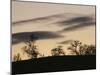 Pre-Storm, Hampstead Heath, London, England, United Kingdom-Upperhall-Mounted Photographic Print