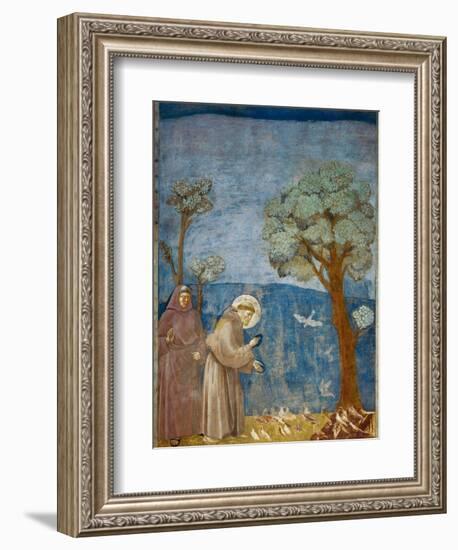 Preaching to the Birds-Giotto di Bondone-Framed Art Print