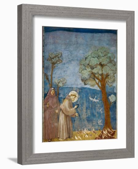 Preaching to the Birds-Giotto di Bondone-Framed Art Print