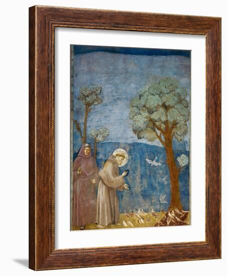 Preaching to the Birds-Giotto di Bondone-Framed Art Print