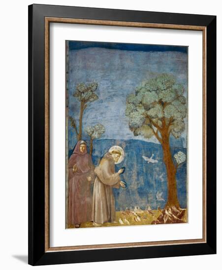 Preaching to the Birds-Giotto di Bondone-Framed Art Print