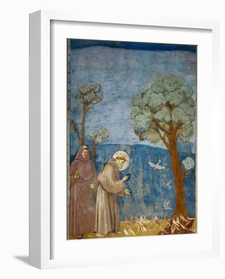 Preaching to the Birds-Giotto di Bondone-Framed Art Print