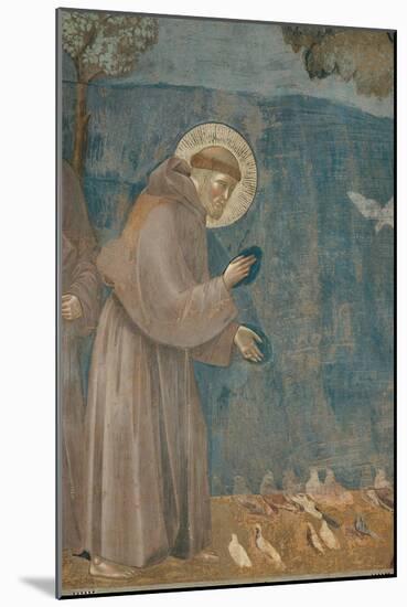 Preaching to the Birds-Giotto di Bondone-Mounted Art Print