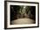 Preah Khan III-Erin Berzel-Framed Photographic Print