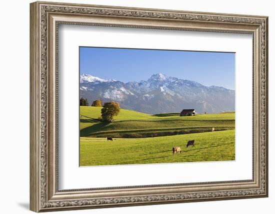 Prealps Landscape with a Cottage and Cows-Markus Lange-Framed Photographic Print