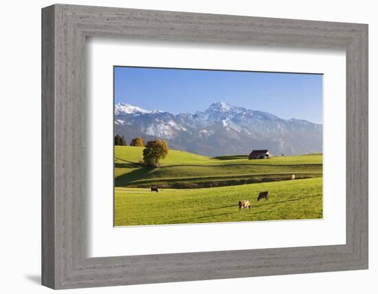 Prealps Landscape with a Cottage and Cows-Markus Lange-Framed Photographic Print