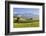 Prealps Landscape with a Cottage and Cows-Markus Lange-Framed Photographic Print