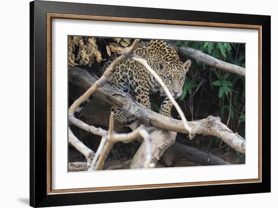 Precarious Approach-Staffan Widstrand-Framed Giclee Print