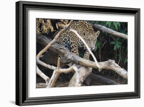 Precarious Approach-Staffan Widstrand-Framed Giclee Print