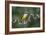 Precarious Perch - Hold-Staffan Widstrand-Framed Giclee Print