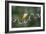 Precarious Perch - Hold-Staffan Widstrand-Framed Giclee Print