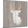 Precious Antlers II on Gray Wood-Wellington Studio-Mounted Art Print