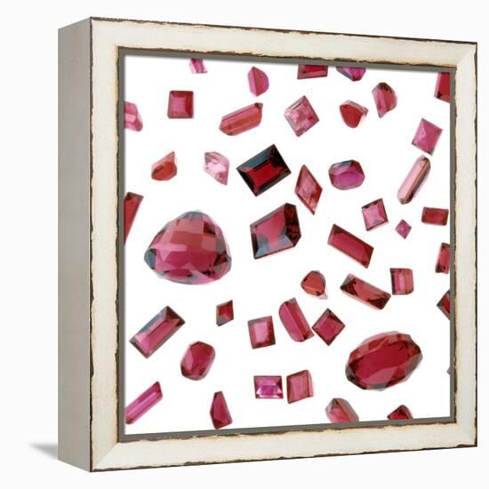 Precious Gemstones-Lawrence Lawry-Framed Premier Image Canvas