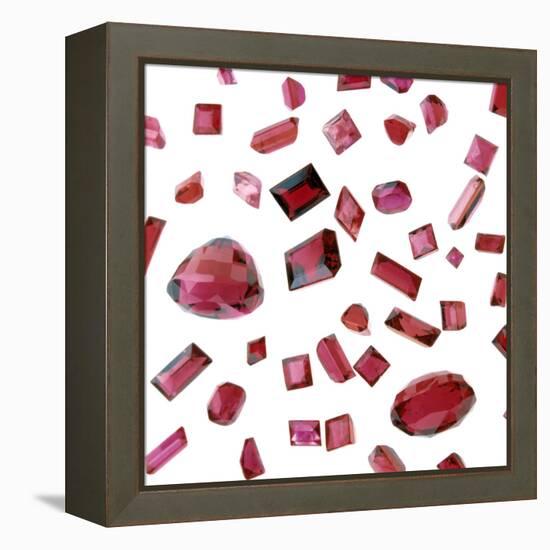 Precious Gemstones-Lawrence Lawry-Framed Premier Image Canvas