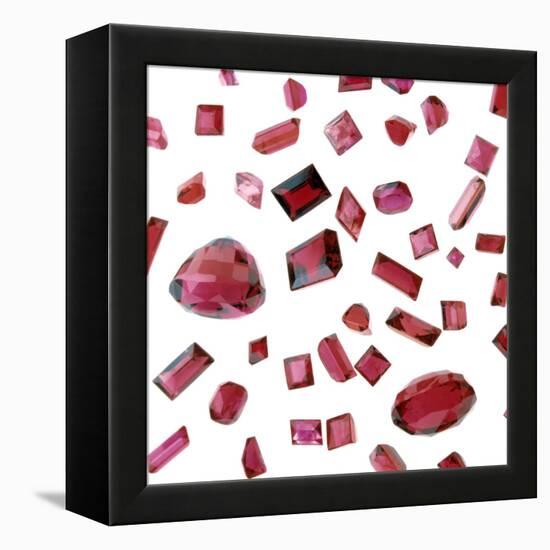 Precious Gemstones-Lawrence Lawry-Framed Premier Image Canvas